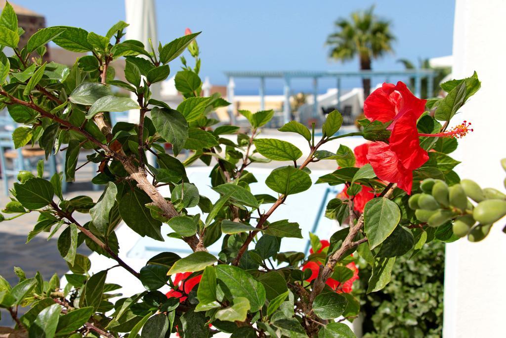 Aethrio Sunset Village - Oia Bagian luar foto